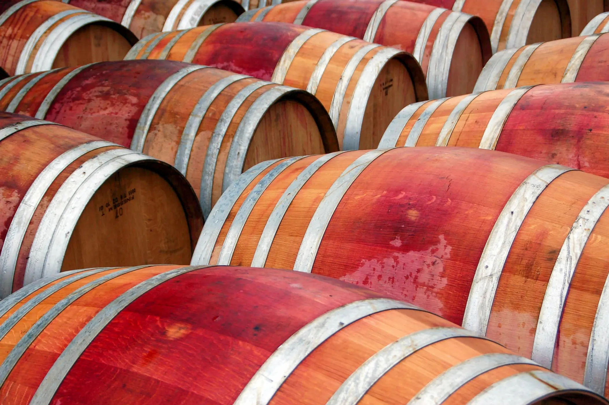 Oak barrels in a cellar.